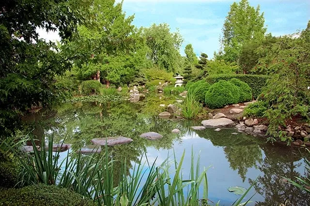 Bassin et arbustes taillés dans le jardin japonais de Birkegårdens Haver